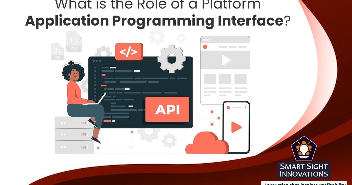What is the Role of a Platform Application Programming Interface ...
