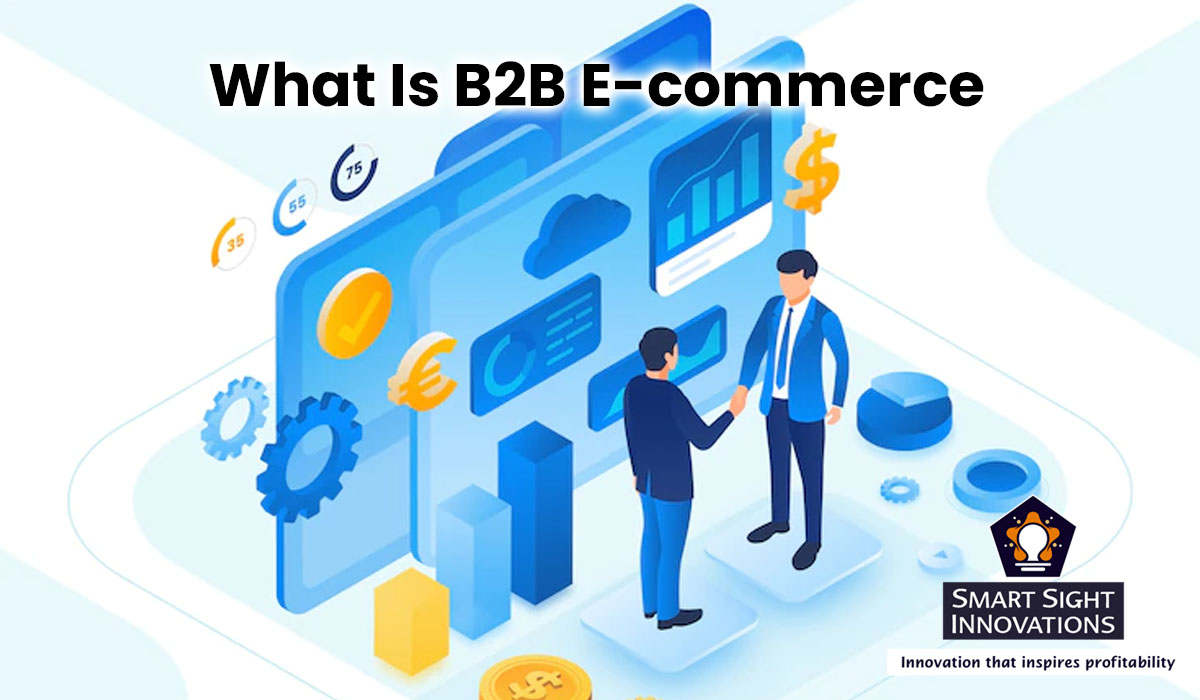 What Is B2B E-commerce? » Smart Sight Innovations